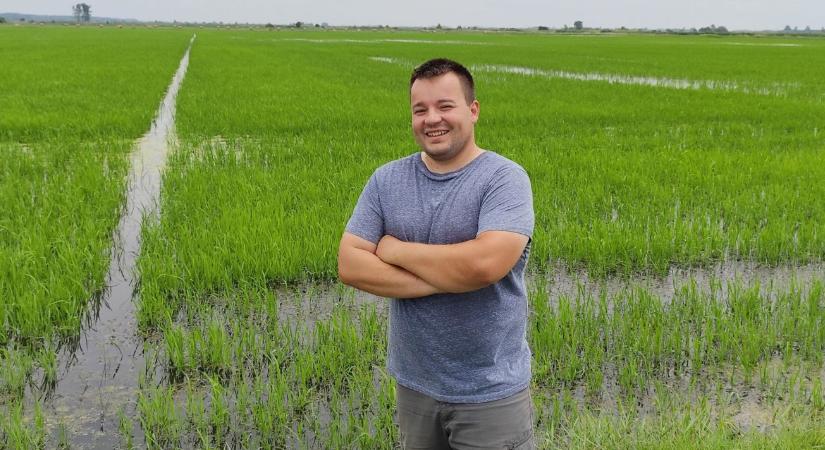 A klímaváltozás nagy kihívás Békésben is, de a rizs szépen terem