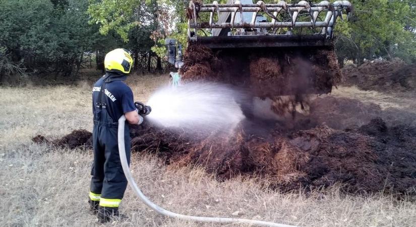 Lángoló trágya és kidőlt fa adott munkát a tűzoltóknak