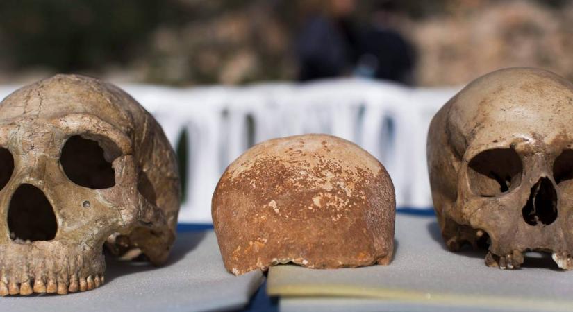 Száznegyvenezer éves gyermekkoponya bizonyítja: korábban kezdődött az ember és a neandervölgyi közti keveredés