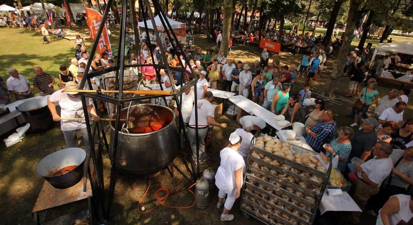 Nemzetközi Vadgasztronómiai Fesztivál 2025 Soponya