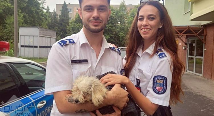 Egy kóbor kiskutya életét mentették meg a rendőrök