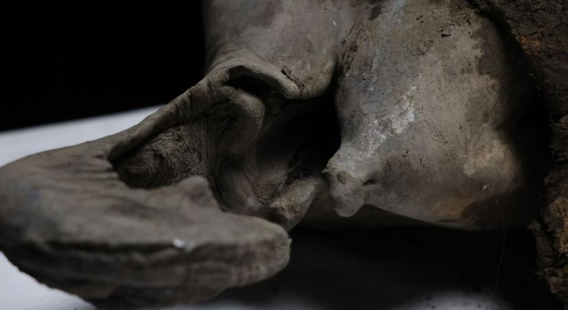 Elképesztő felfedezés: a Tisza homokja jégkorszaki leletet rejtett