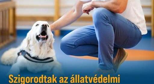 Már hatályosak az állatvédelmi jogszabályok szigorításai