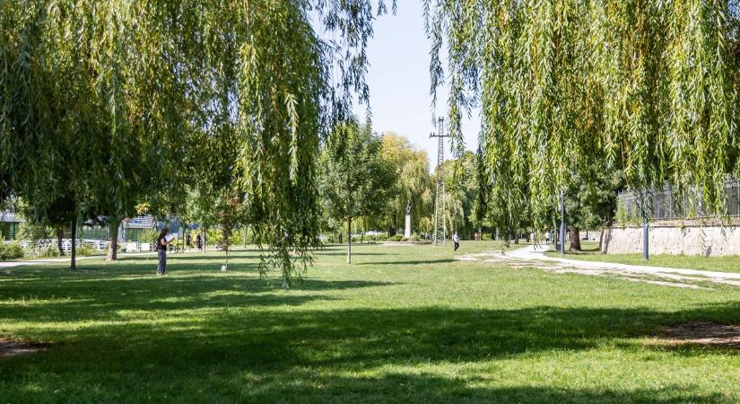 5 szuper piknikezőhely - Esztergom "Centrál parkja" és a Táti kőgát is a sorban