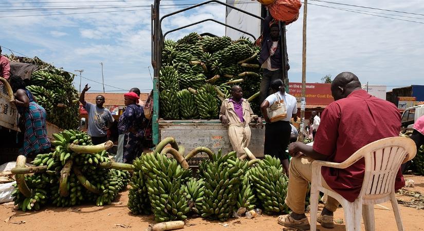 Aki nem hajlandó hazamenni, mostantól Ugandába is deportálhatják