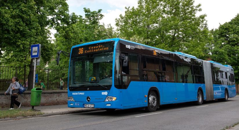 Parázslik a vita a kigyulladt autóbuszok miatt