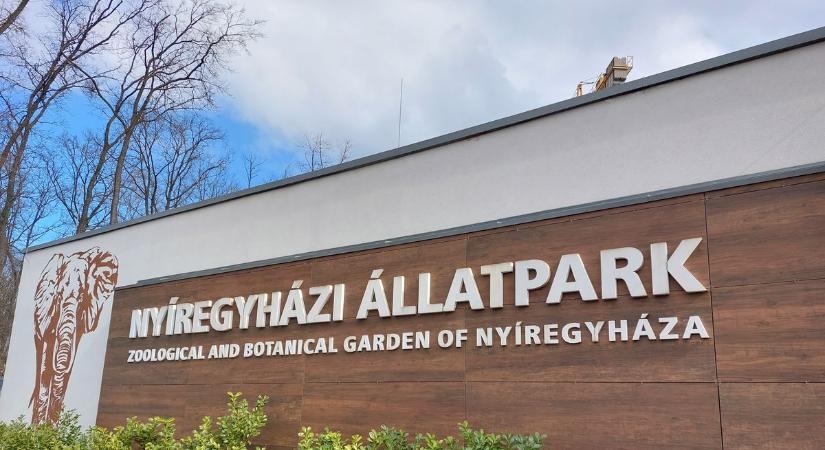 Megindító pillanat a Nyíregyházi Állatparkban – videón a legújabb jövevény