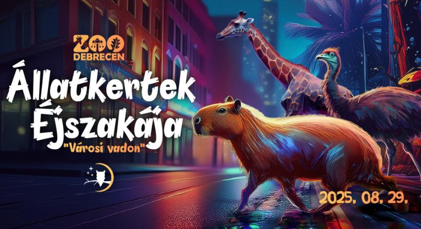 Különleges programokkal érkezik az Állatkertek Éjszakája Debrecenben