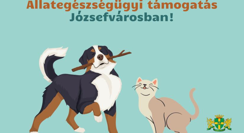 Állategészségügyi támogatási program indul Józsefvárosban