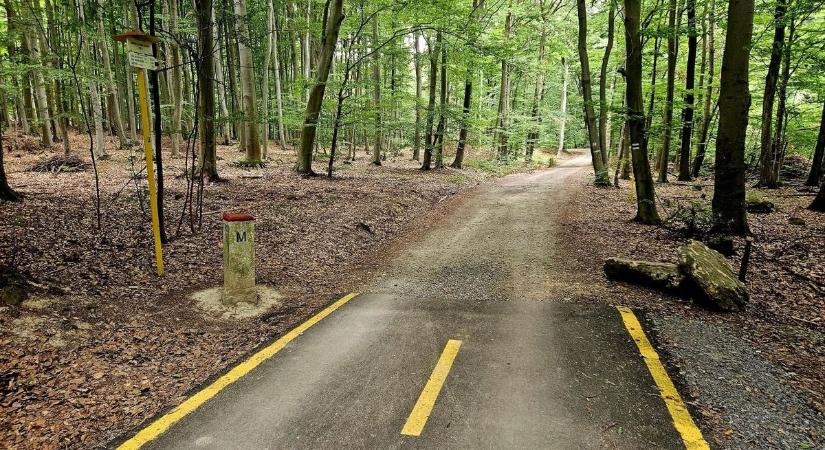 Van aki azt hitte vicc: fura dologra lettek figyelmesek a Zemplénben!