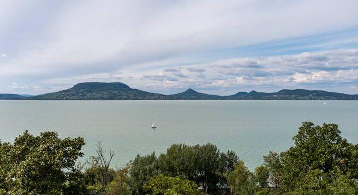 Balesetet okozhatnak a Balatonnál ezek az apró lények – így kerülheted el a veszélyt