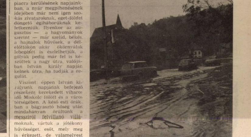 „Éjszakai vihar Miskolcon, a szél fákat csavart ki”