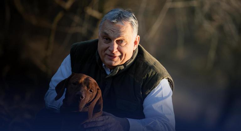 Orbán Viktor vizslája, félmeztelen lovaglás, kutyás pszichoterror és egyéb diplomáciai finomságok