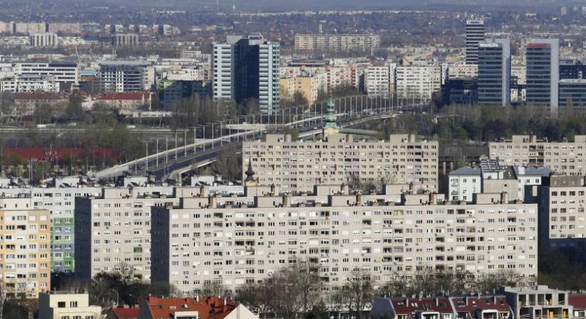 Nem mindennapi látvány az óbudai lakótelepen: erre az állatra keltek a panelek lakói