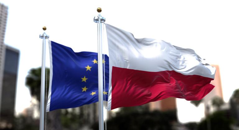 Több száz éves magyar kincseket találtak Lengyelországban egy erdőben