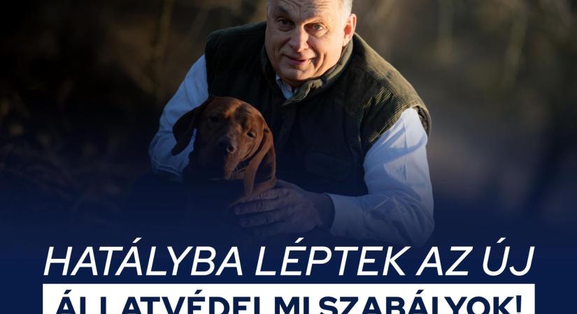 Augusztus 20-tól hatályba léptek az új állatvédelmi szabályok – jelezte Orbán Viktor a közösségi oldalán