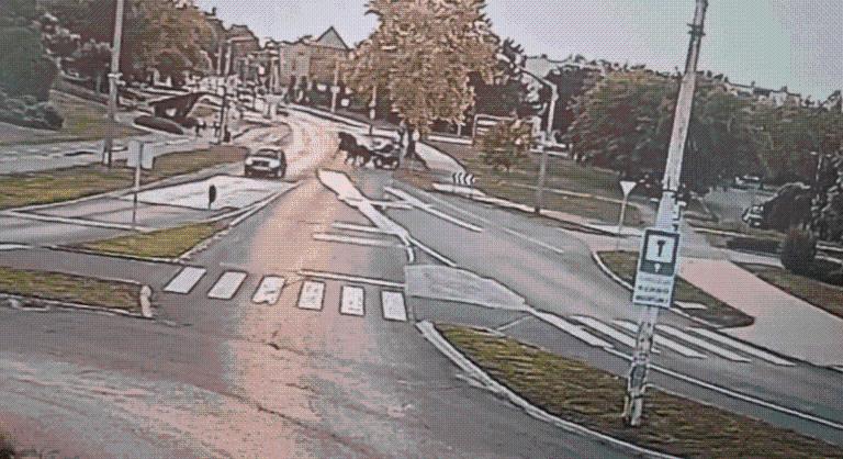 Lovaskocsi száguldozott Kazincbarcikán, minden szabályt megszegett a hajtója