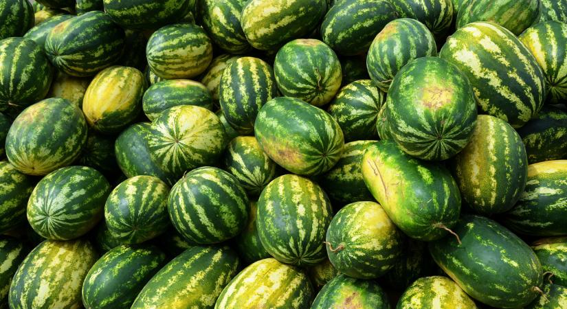 Hihetetlen, de igaz: ennyibe kerül most a dinnye Ukrajnában
