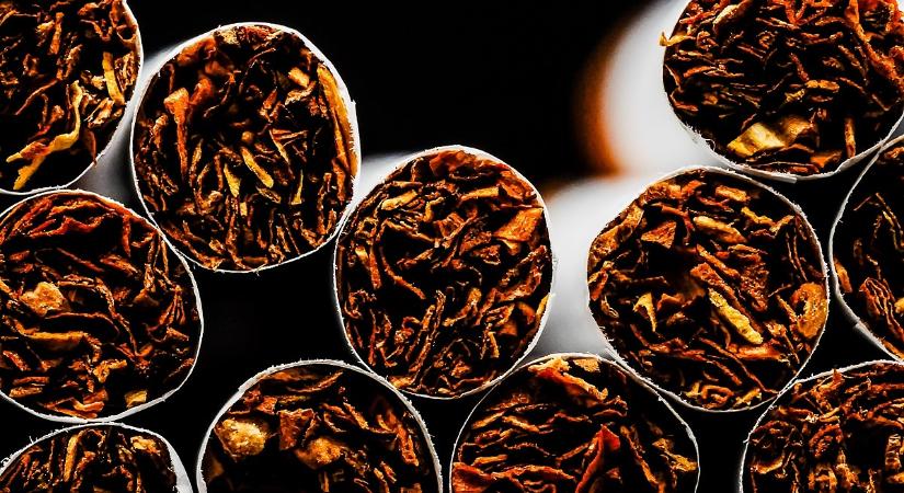 Magyar cigarettacsempészek akadtak fent a román határőrök hálóján