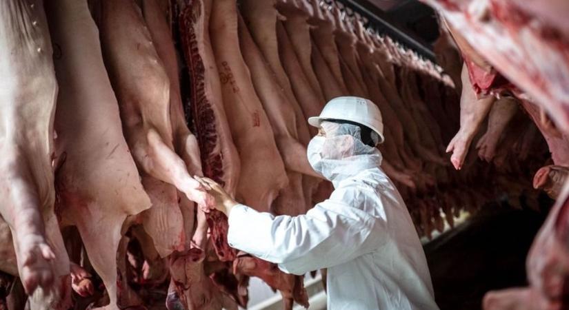 Egyre kevesebb sertéshúst eszünk, de nem ezért nem lesz disznó a Farmer Expón