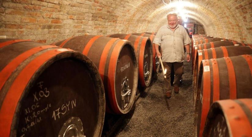 Minden bortermelőt figyelmeztet a Nébih, így előzhető meg a halálos mérgezés a szüret idején