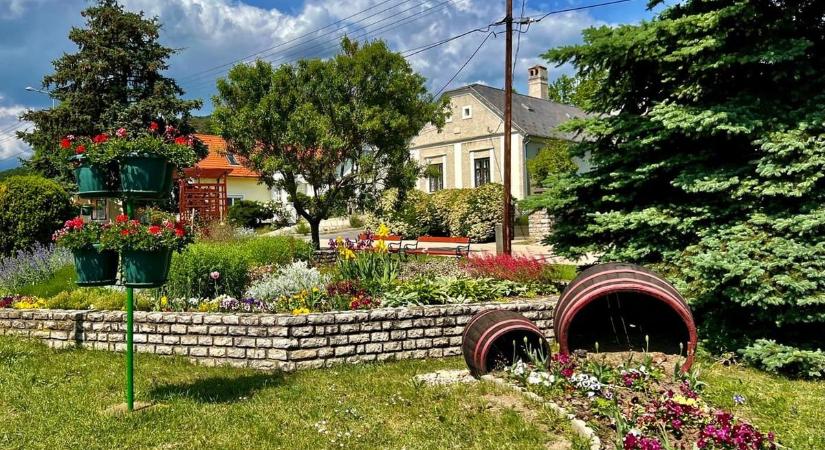 Első Csopaki Polgári Piknik