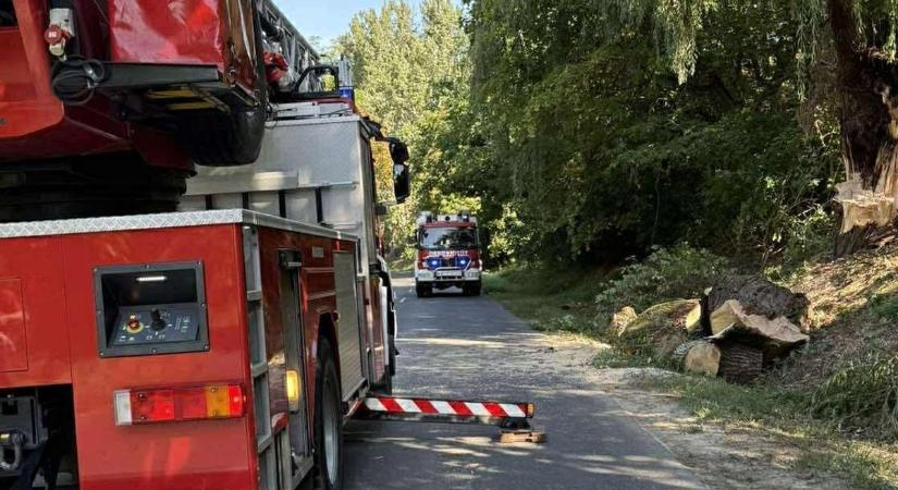 Teljes útzár a Vál és Kajászó közötti úton, hatalmas fa dőlt az útra