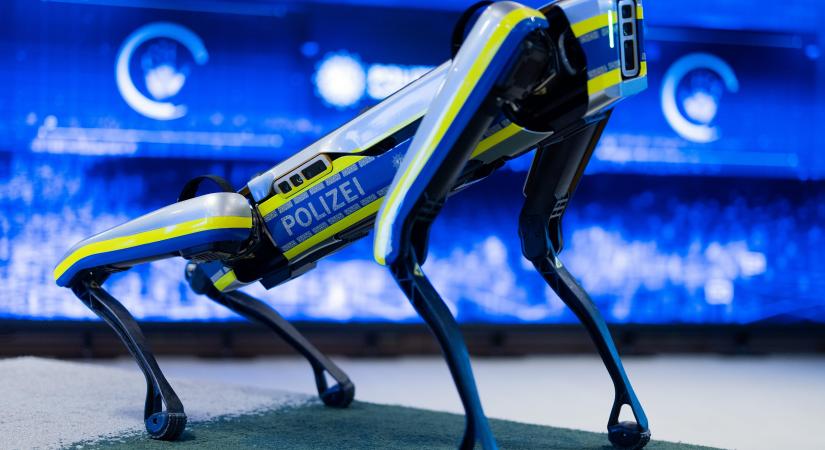 Robotzsaru állt munkába Angliába