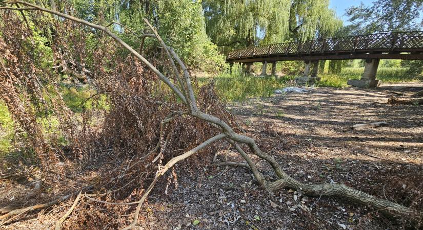Eltűnt erdőspusztai tavak, visszatérő remények