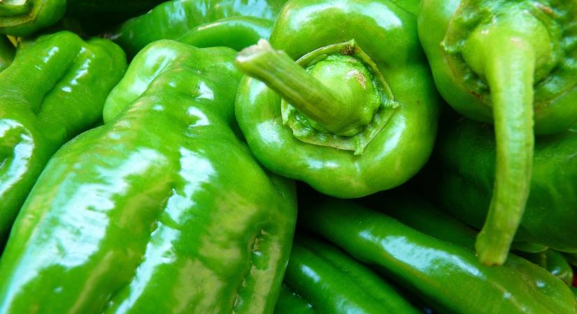 Egyre olcsóbb a paprika Lengyelországban
