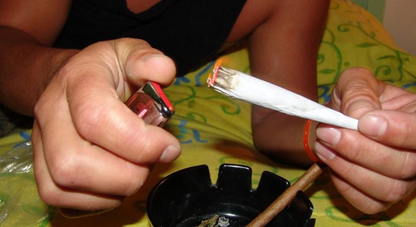 Csak tavaly négy tonna marihuánát foglalt le a rendőrség