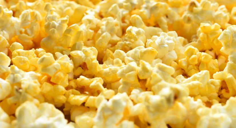 Roham indulhat ősszel a magyar mozipénztárakban: ezekről a filmekről vétek lenne lemaradni