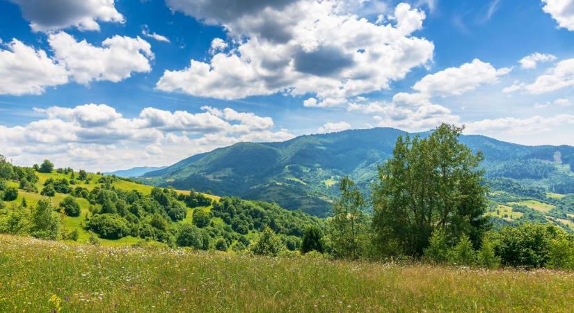 Enyhülés után visszatér a nyári meleg
