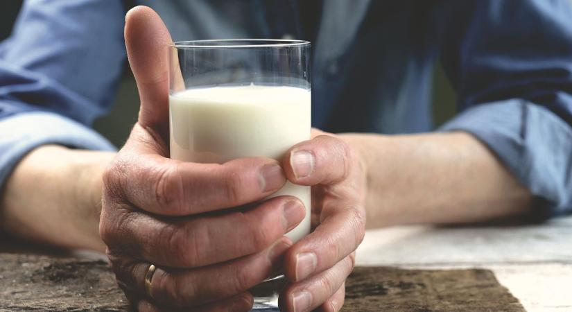 A tejben és a levegőben is ott a vírus – komoly gondban a tejipar