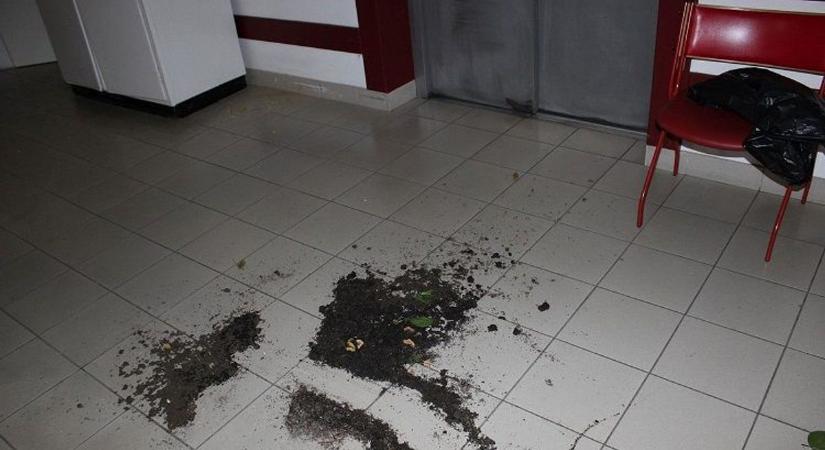 Orvost és nővéreket vert meg az őrjöngő férfi az esztergomi kórházban - fotók