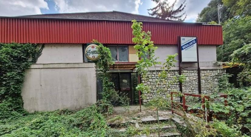 Egykor gyerekzsivajtól volt hangos, ma a csend uralja az elhagyatott tábort