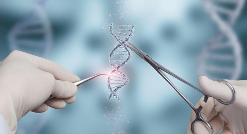 A génterápiák fejlesztését segítő diagnosztikai módszert fejlesztettek ki magyar kutatók