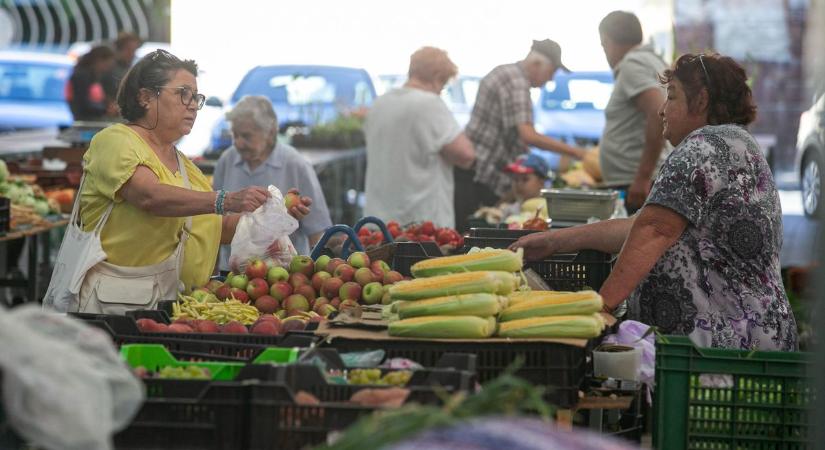 A gyönyörű bőr elixírje a kecskeméti piacon is fellelhető, de vigyázat, csak a szára fogyasztható!
