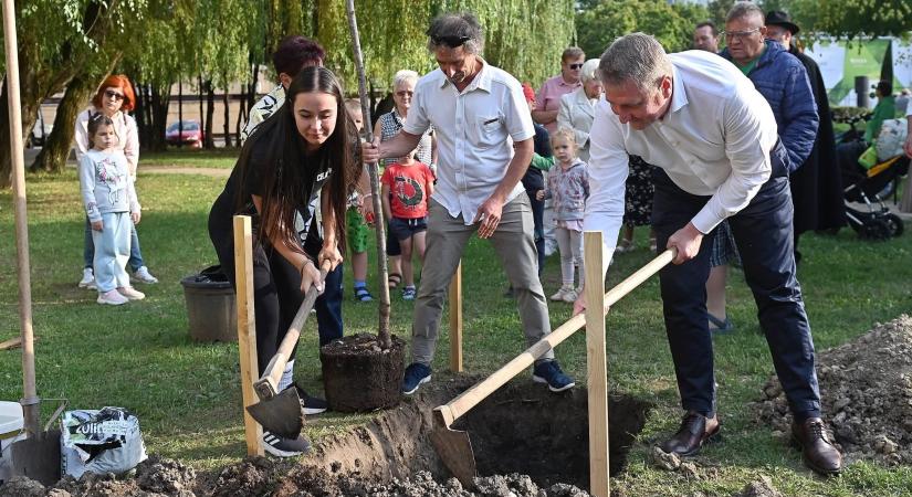 Hangrád Vivien lett Felsőváros Csillaga