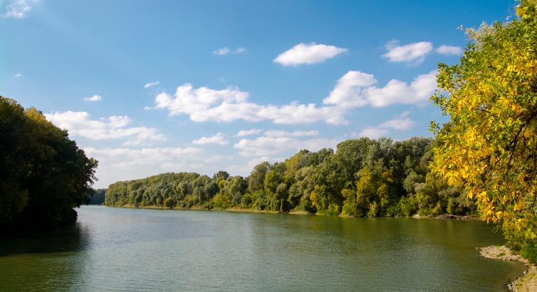 Eladó a Tisza egyik holtága, tanya és fél hektárnyi erdő is jár mellé