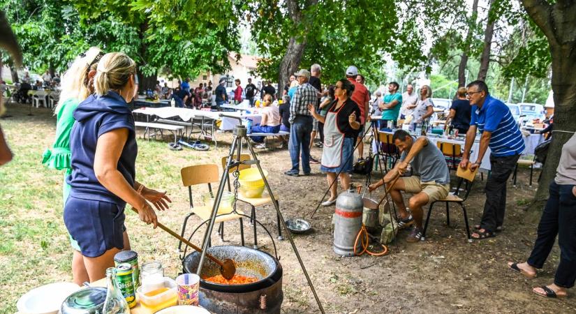 Csodát teremtettek paprikával és paradicsommal (galéria)