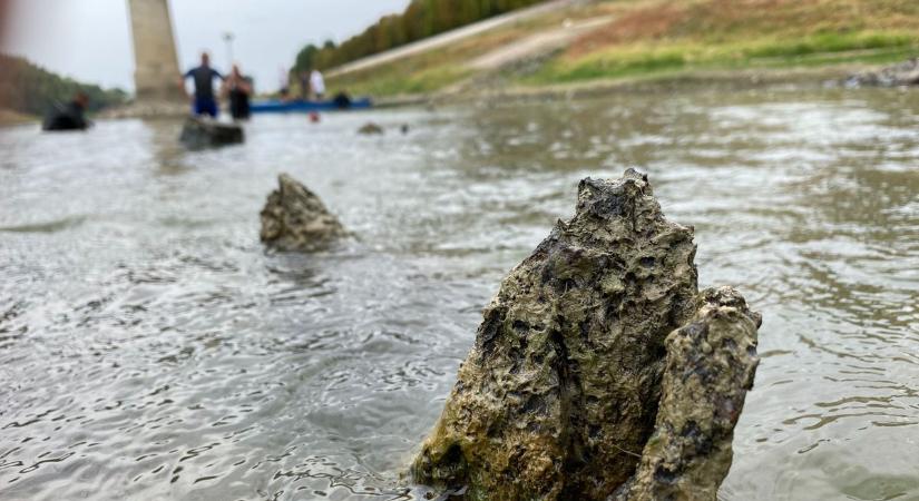 Régészeti szenzációra bukkantak a torkolatnál, száz elfeketedett maradvány hever a meder alján