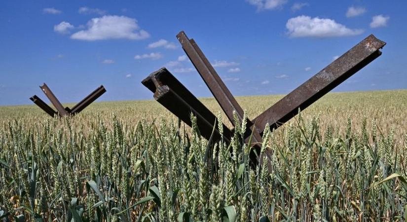 Ukrán mezőgazdaság: az aszálytól a sáskajárásig, megszűnik az agrárminisztérium, drágul a kenyér