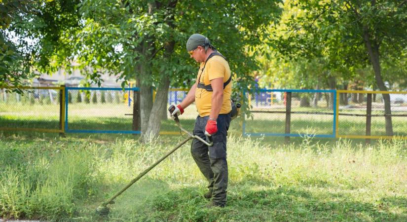 Nem szeret kaszálni? Egy ötmilliós bírság talán meghozná a kedvét