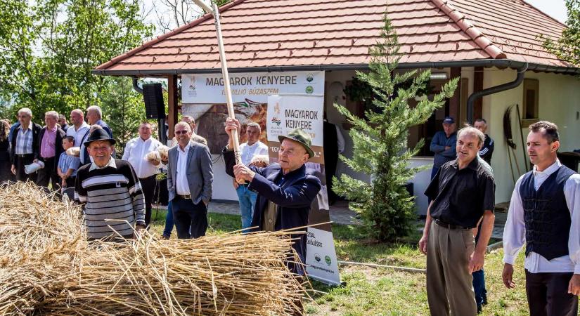 Tizenöt millió búzaszem, egy nemzet – összefogás a Szilágyságban