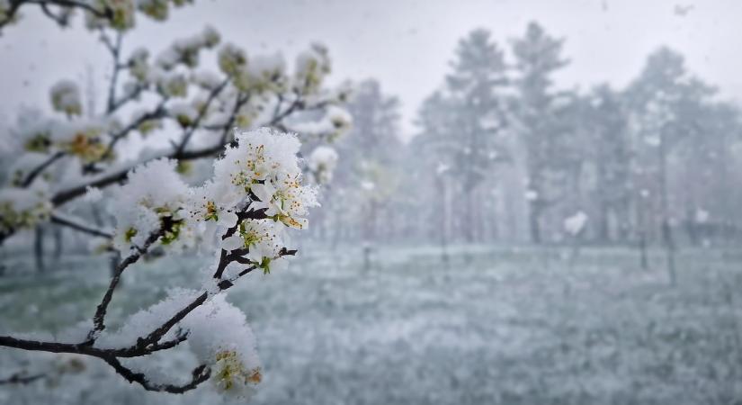 Nyári havazás volt Kárpátalján