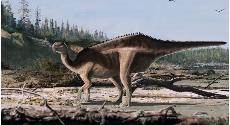 Új dinoszauruszfajt fedeztek fel a tudósok