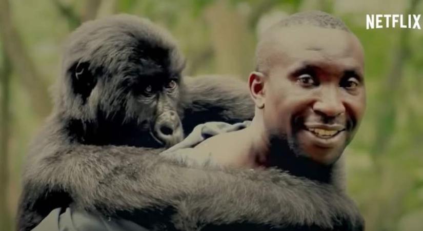 Megöltek több vadőrt a Leonardo DiCaprio által is támogatott Virunga Nemzeti Parkban (videóval)