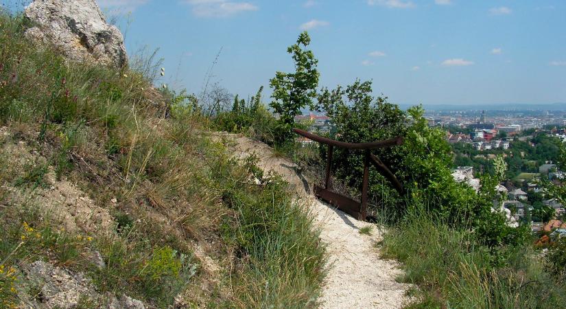 Jégkorszaki emlékek Budapest felett: fedezd fel a Sas-hegyet!