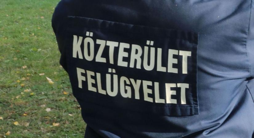 Egyre furcsább hírek jönnek a Pécsi Közterület-Felügyelettől